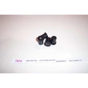 TS19