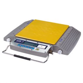 RW-05L NTEP